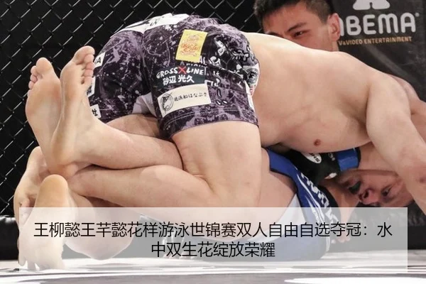 wang-liu-yi-wang-qian-yi-hua-yang-you-yong-shi-jin-sai-shuang-ren-zi-you-zi-xuan-duo-guan-shui-zhong-shuang-sheng-hua-2-256.jpg