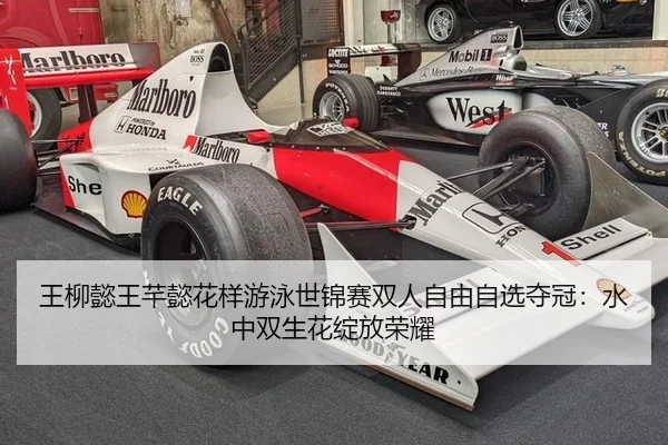 wang-liu-yi-wang-qian-yi-hua-yang-you-yong-shi-jin-sai-shuang-ren-zi-you-zi-xuan-duo-guan-shui-zhong-shuang-sheng-hua-3-541.jpg