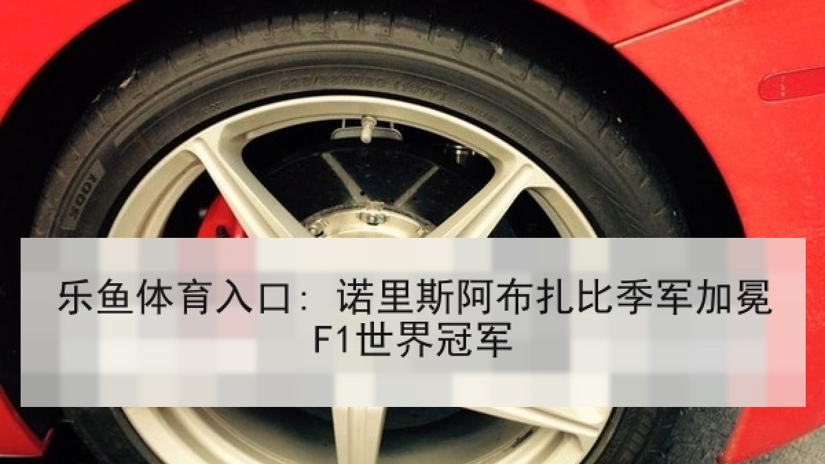 乐鱼体育入口: 诺里斯阿布扎比季军加冕F1世界冠军