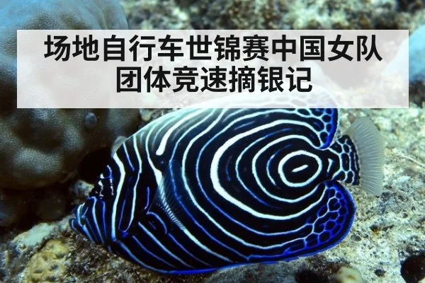 场地自行车世锦赛中国女队团体竞速摘银记