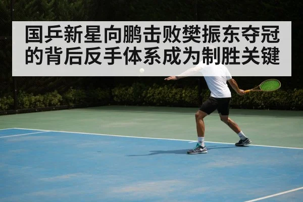 国乒新星向鹏击败樊振东夺冠的背后反手体系成为制胜关键