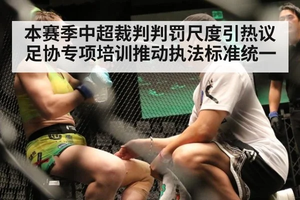 本赛季中超裁判判罚尺度引热议 足协专项培训推动执法标准统一